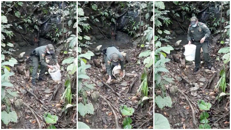 Policía rescató y liberó a una serpiente en el municipio de Falan