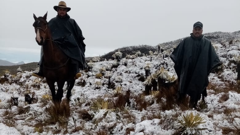 Sigue la búsqueda de joven extraviado en inmediaciones del Nevado del Tolima