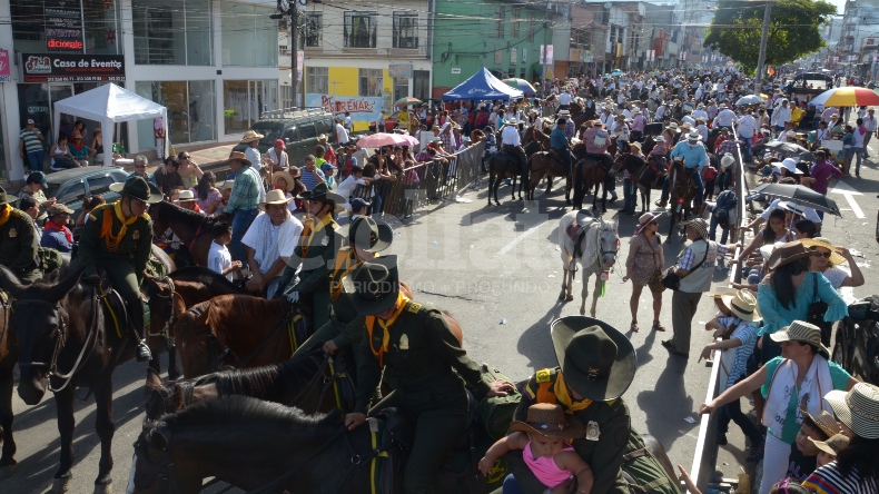 Activistas exigen garantías para los caballos que participen de las cabalgatas en las fiestas de San Juan Activistas exigen garantías para los caballos que participen de las cabalgatas en las fiestas de San Juan