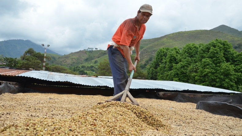 Los cierres viales afectan a más de dos millones de familias cafeteras Los cierres viales afectan a más de dos millones de familias cafeteras