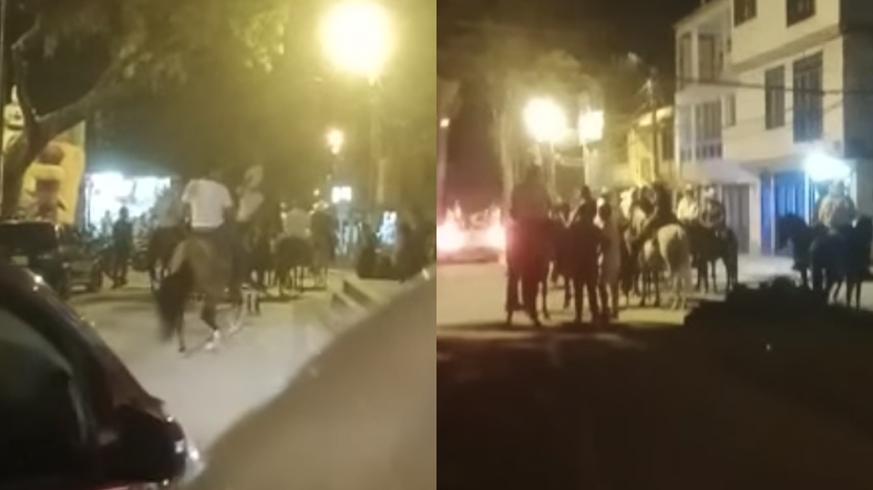 Denuncian maltrato animal y consumo de alcohol hasta la madrugada en el parque principal de El Salado