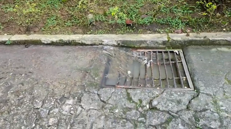 En la Urbanización Rincón del Bosque llevan tres meses aguantando malos olores por salida de aguas residuales En la Urbanización Rincón del Bosque llevan tres meses aguantando malos olores por salida de aguas residuales