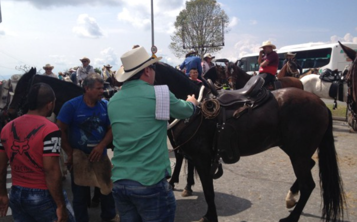 Caballistas están organizando cabalgata ilegal en zona rural de Ibagué