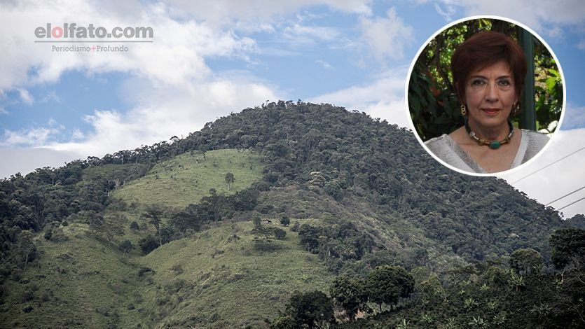 Exalcaldesa de Ibagué fue nombrada gerente de un programa de paz en el sur del Tolima Exalcaldesa de Ibagué fue nombrada gerente de un programa de paz en el sur del Tolima