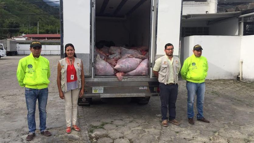 Decomisan carne de caballo que iba a ser vendida en Ibagué Decomisan carne de caballo que iba a ser vendida en Ibagué