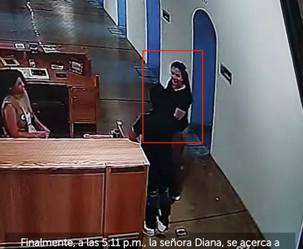 Mujer implicada en la sustracción de una pieza del Panóptico de Ibagué resultó ser empleada del Hospital Federico Lleras Mujer implicada en la sustracción de una pieza del Panóptico de Ibagué resultó ser empleada del Hospital Federico Lleras