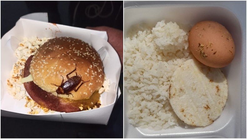 Denuncian presencia de insectos y suciedad en comida de los Auxiliares de la Policía de Ibagué Denuncian presencia de insectos y suciedad en comida de los Auxiliares de la Policía de Ibagué