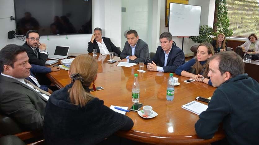 ¿‘Volaron’ a Paloma de la bancada tolimense? ¿‘Volaron’ a Paloma de la bancada tolimense?