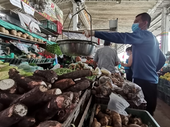 El 44,5% de hogares de Ibagué dice que su situación económica es peor que hace un año El 44,5% de hogares de Ibagué dice que su situación económica es peor que hace un año