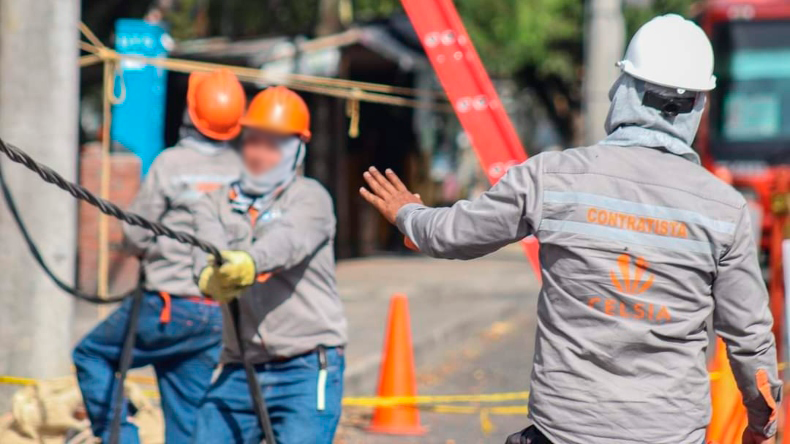 Animalistas piden a contratistas de Celsia cuidado para evitar atropellamiento de mascotas en barrios de Ibagué Animalistas piden a contratistas de Celsia cuidado para evitar atropellamiento de mascotas en barrios de Ibagué