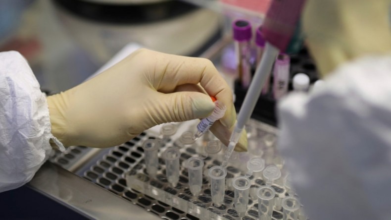 Primera vacuna contra el COVID-19 probada en humanos arrojó resultados positivos Primera vacuna contra el COVID-19 probada en humanos arrojó resultados positivos