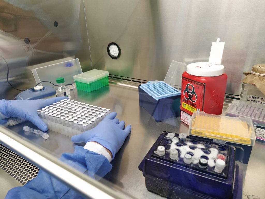 Secretaría de Salud contratará a 25 enfermeros para realizar la toma de muestras del COVID-19 en Ibagué Secretaría de Salud contratará a 25 enfermeros para realizar la toma de muestras del COVID-19 en Ibagué