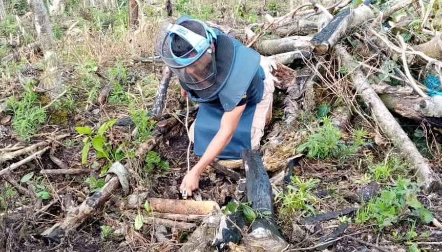 Integrantes del Ejército ubicaron y destruyeron minas antipersonal en Planadas Integrantes del Ejército ubicaron y destruyeron minas antipersonal en Planadas
