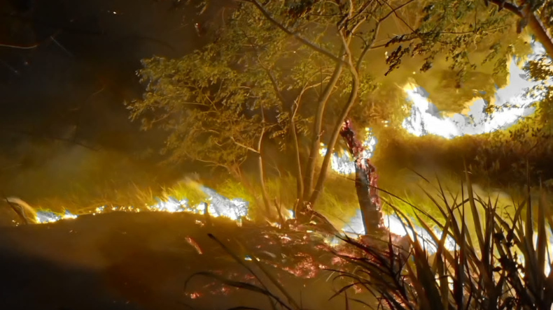 En el Tolima van más de 1000 hectáreas boscosas incineradas en un mes