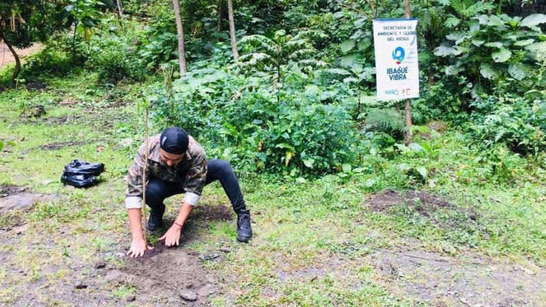 Denuncian irregularidades en el seguimiento a siembra de árboles en Ibagué Denuncian irregularidades en el seguimiento a siembra de árboles en Ibagué