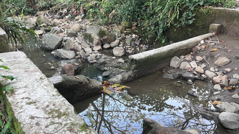 Sancionan al Ibal y a la Alcaldía de Ibagué por contaminación de quebrada Sancionan al Ibal y a la Alcaldía de Ibagué por contaminación de quebrada