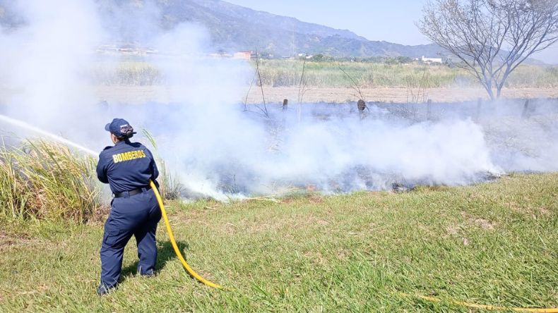 Causar incendios forestales en Ibagué puede dar cárcel Causar incendios forestales en Ibagué puede dar cárcel