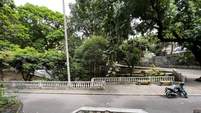 Aún no se descarta la tala de árboles del parque Centenario Aún no se descarta la tala de árboles del parque Centenario