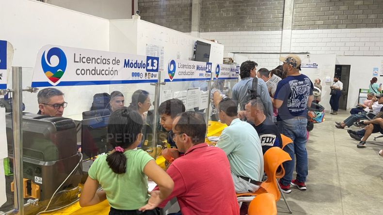 Ibagué restableció entrega de licencias de conducción