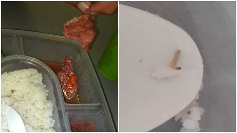Carne cruda, gusanos y piedras: los nuevos hallazgos en el almuerzo del PAE en colegio de Ibagué Carne cruda, gusanos y piedras: los nuevos hallazgos en el almuerzo del PAE en colegio de Ibagué