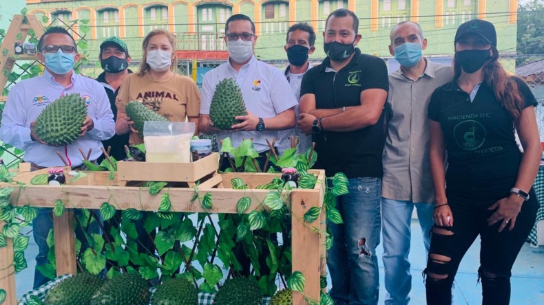 Tres municipios del Tolima contarán con una planta procesadora de guanábana Tres municipios del Tolima contarán con una planta procesadora de guanábana