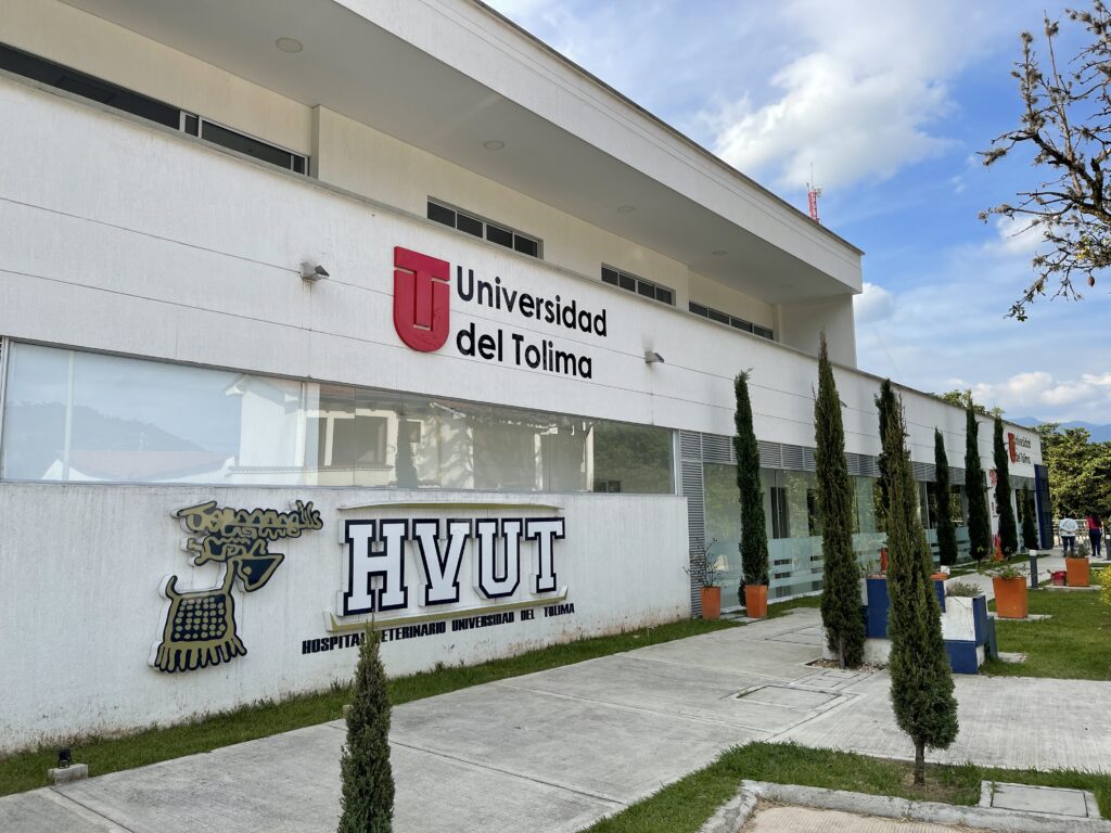 El hospital veterinario que ha atendido a más de 4.000 animales vulnerables El hospital veterinario que ha atendido a más de 4.000 animales vulnerables