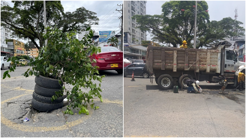Ciudadanos proponen poner llantas y plantas en los huecos de Ibagué para hacerlos visibles Ciudadanos proponen poner llantas y plantas en los huecos de Ibagué para hacerlos visibles