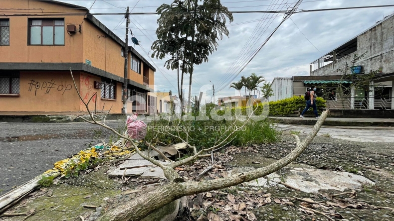 Con un bazar, comunidad planea celebrar el cumpleaños a un hueco y un árbol que brotó de él en Ibagué Con un bazar, comunidad planea celebrar el cumpleaños a un hueco y un árbol que brotó de él en Ibagué