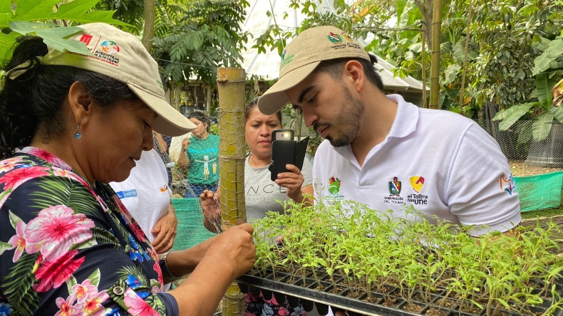 Huertas de hortalizas y aromáticas para mejorar alimentación y economía de 1.000 familias del Tolima Huertas de hortalizas y aromáticas para mejorar alimentación y economía de 1.000 familias del Tolima