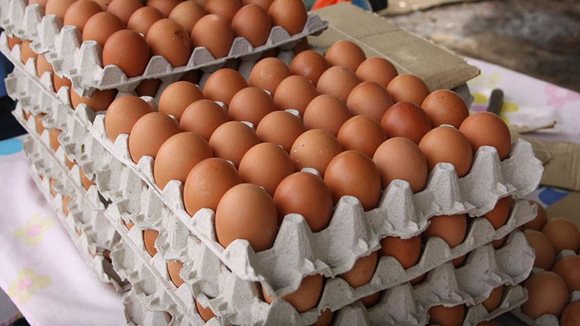 Precio del huevo subiría a $413 con el IVA: Federación Nacional de Avicultores Precio del huevo subiría a $413 con el IVA: Federación Nacional de Avicultores