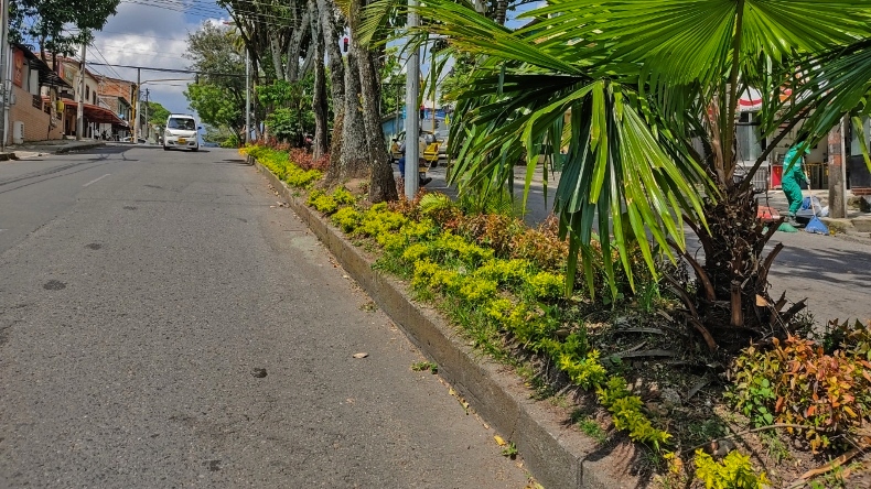 Más de 100 parques y zonas verdes serán intervenidos por Ibagué Limpia