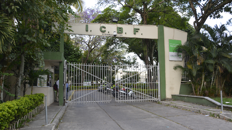 Designan nueva directora del ICBF en el Tolima Designan nueva directora del ICBF en el Tolima