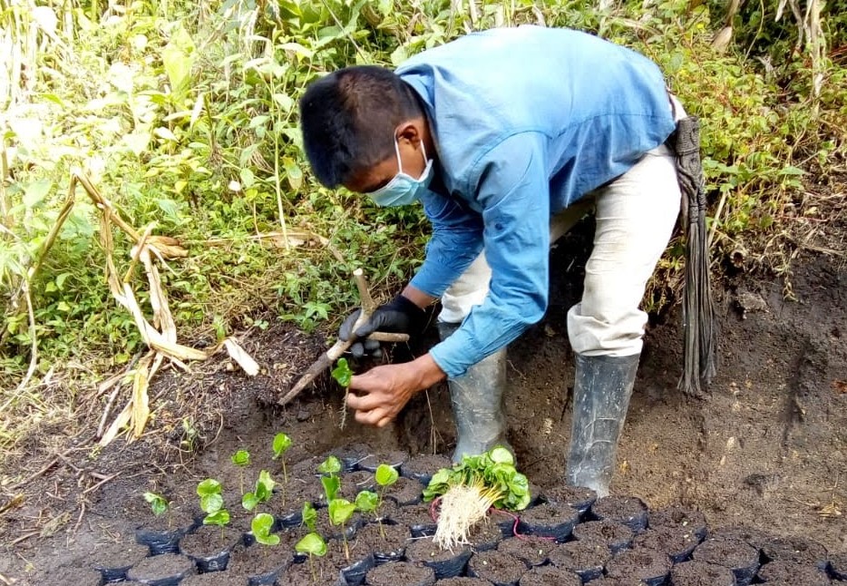 Resguardo Nasa Wesx mejorará su caficultura a través de proyecto del Gobierno Nacional Resguardo Nasa Wesx mejorará su caficultura a través de proyecto del Gobierno Nacional
