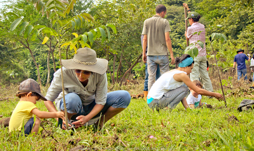 Juntas de Acción Comunal podrán recibir estímulos económicos para proyectos de educación ambiental