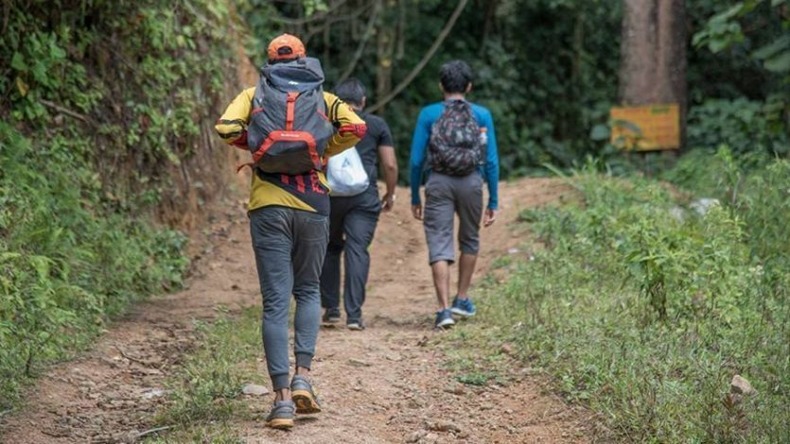 Alcaldía de Ibagué incumple acción popular que obliga a realizar obras de saneamiento en La Martinica Alcaldía de Ibagué incumple acción popular que obliga a realizar obras de saneamiento en La Martinica