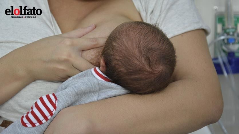 Leche materna: fundamental para el crecimiento intelectual y físico de los bebés Leche materna: fundamental para el crecimiento intelectual y físico de los bebés