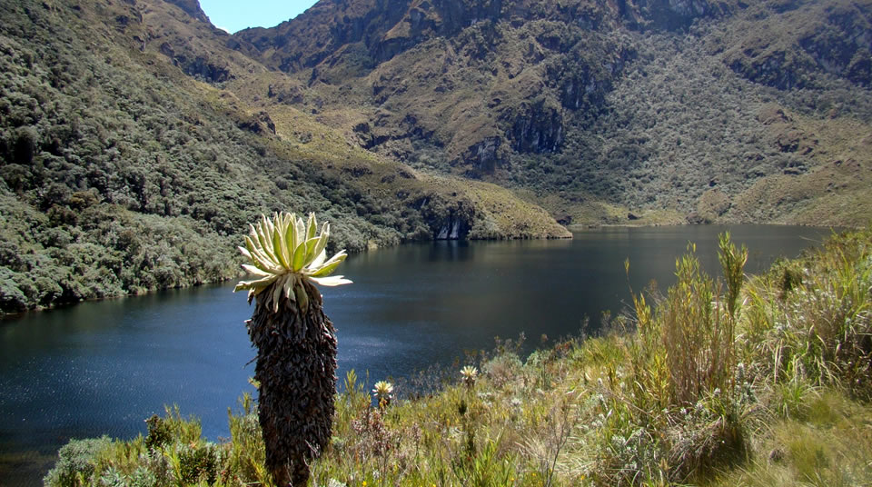 Corte Suprema de Justicia revocó fallo que declaró al Parque Natural Las Hermosas como sujeto de derechos Corte Suprema de Justicia revocó fallo que declaró al Parque Natural Las Hermosas como sujeto de derechos