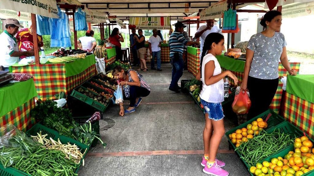 El proyecto que mejoró los ingresos de los campesinos de Ibagué El proyecto que mejoró los ingresos de los campesinos de Ibagué