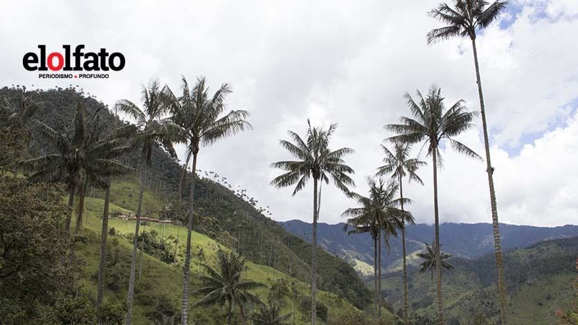 El renacer de Toche, el destino turístico inexplorado de Ibagué El renacer de Toche, el destino turístico inexplorado de Ibagué