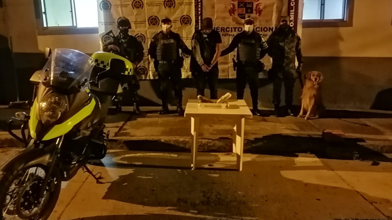 Perro antinarcóticos halló 2.000 dosis de marihuana en un bus en Cajamarca Perro antinarcóticos halló 2.000 dosis de marihuana en un bus en Cajamarca