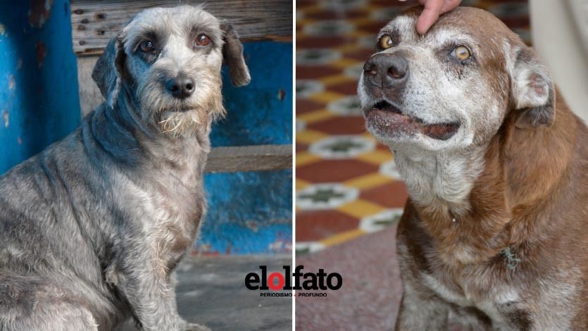 Lo que hacen los bomberos cuando no están apagando incendios Lo que hacen los bomberos cuando no están apagando incendios