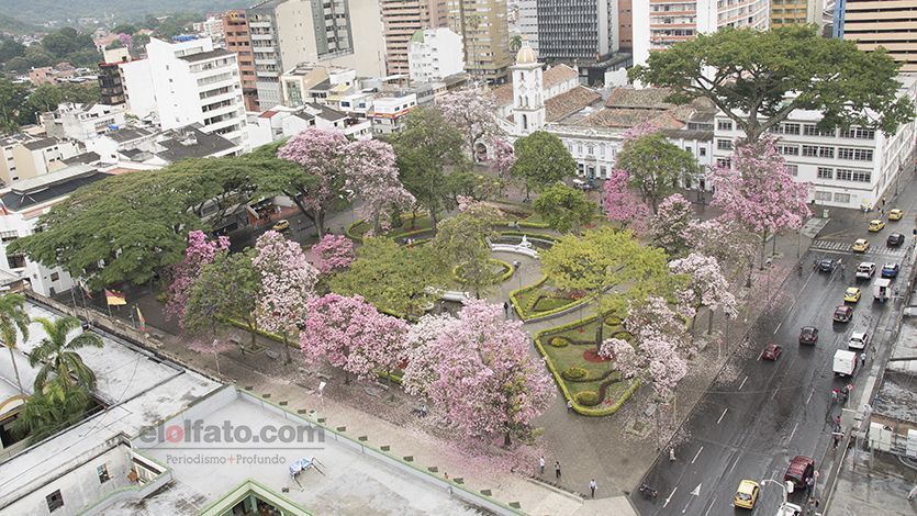 La plaza rosa de Ibagué La plaza rosa de Ibagué