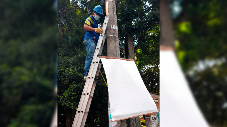 Han desmontado cerca de 40 pendones con publicidad política ilegal en Ibagué