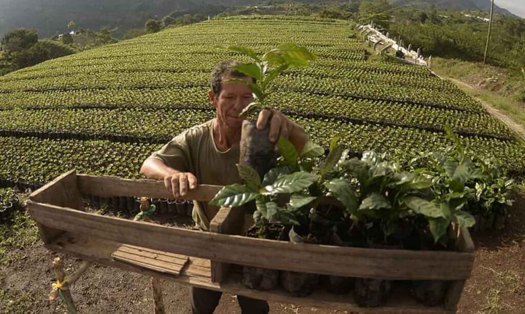 El Tolima aportó solamente el 2,1% de la riqueza de Colombia en el 2022 El Tolima aportó solamente el 2,1% de la riqueza de Colombia en el 2022
