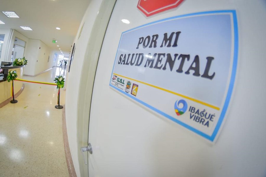 Las barreras para acceder a servicios de salud mental en EPS de Ibagué Las barreras para acceder a servicios de salud mental en EPS de Ibagué