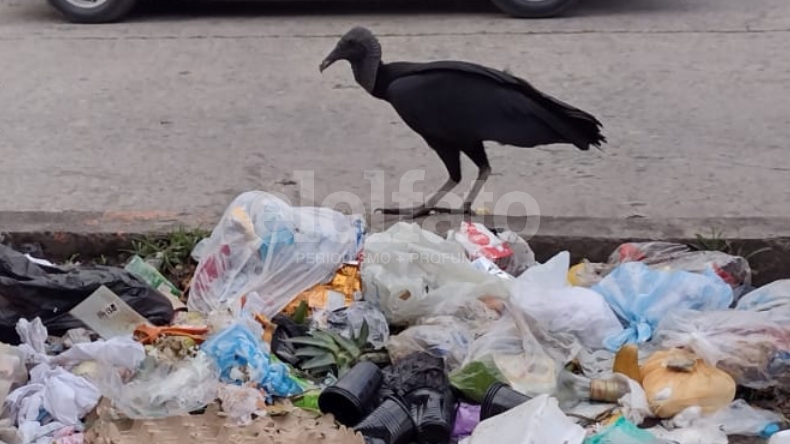 Ciudadela Simón Bolívar, Plaza de la 21 y carrera Quinta: entre las zonas más sucias de Ibagué