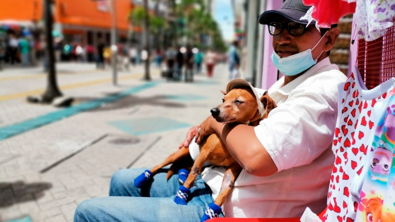 La historia detrás de ‘Toby’: el reconocido perrito de la carrera Tercera de Ibagué