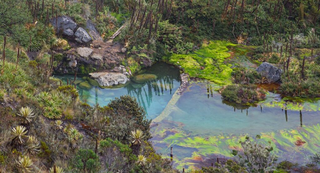 Agéndese con Comfatolima y conozca los Termales de Murillo, el Parque del Café, Playa Juncal y mucho más Agéndese con Comfatolima y conozca los Termales de Murillo, el Parque del Café, Playa Juncal y mucho más