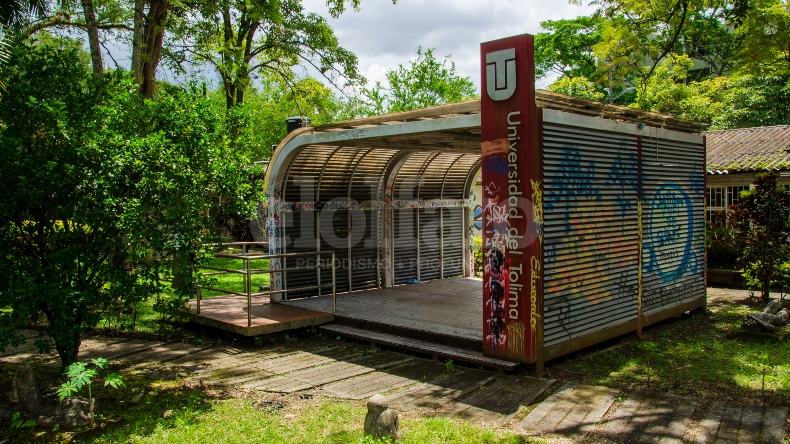 Ofrecerán diplomado gratuito en prevención de conducta suicida para profesionales de Ibagué