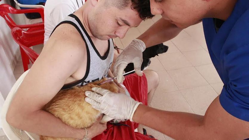 Mascotas de Ibagué fueron vacunadas contra la rabia Mascotas de Ibagué fueron vacunadas contra la rabia